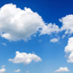 Meet your Posher, Isabel